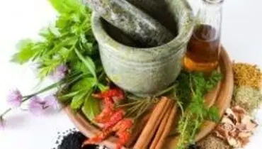 با این چند گیاه دارویی به جنگ چاقی بروید