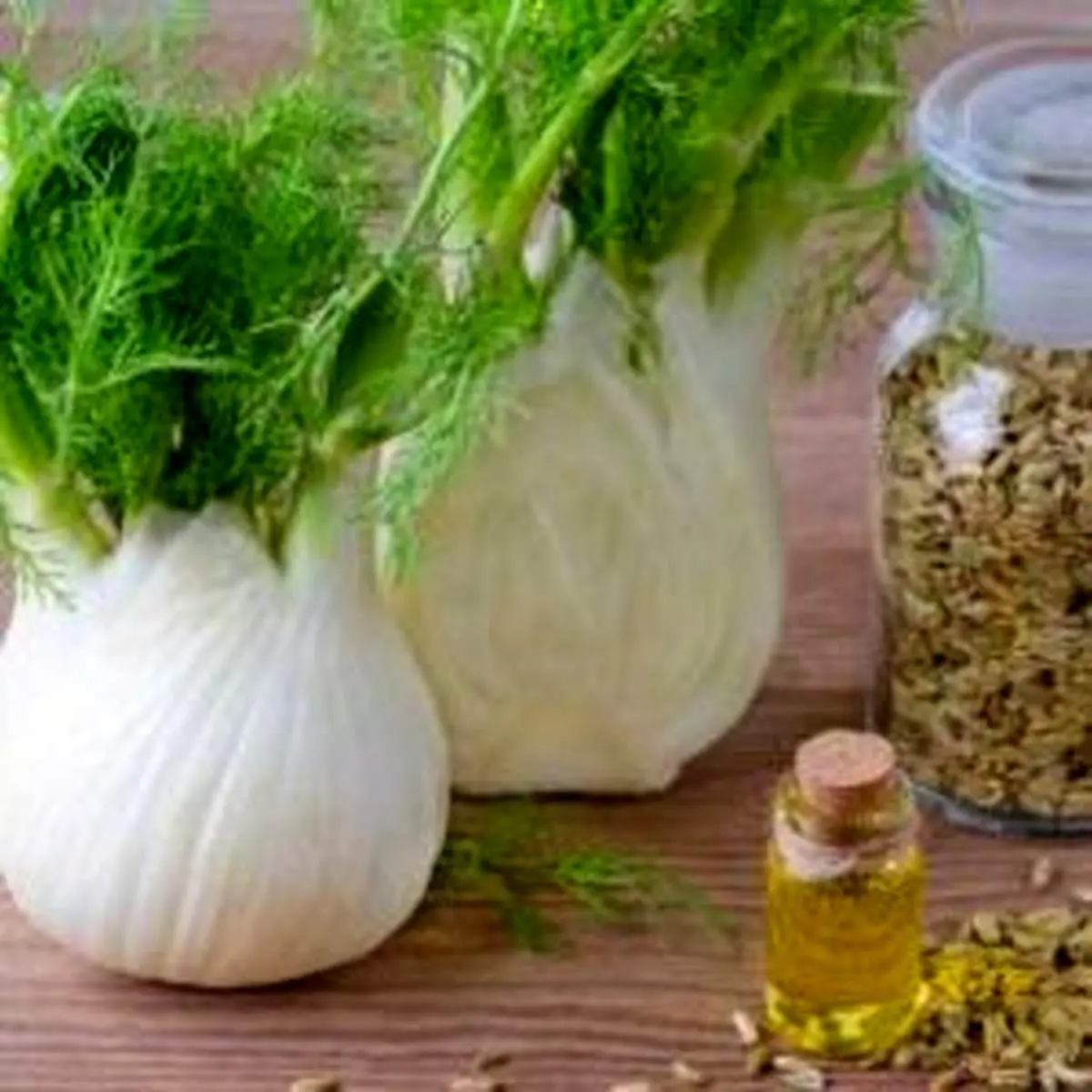 ۷ فایده شگفت انگیز روغن رازیانه برای بدن