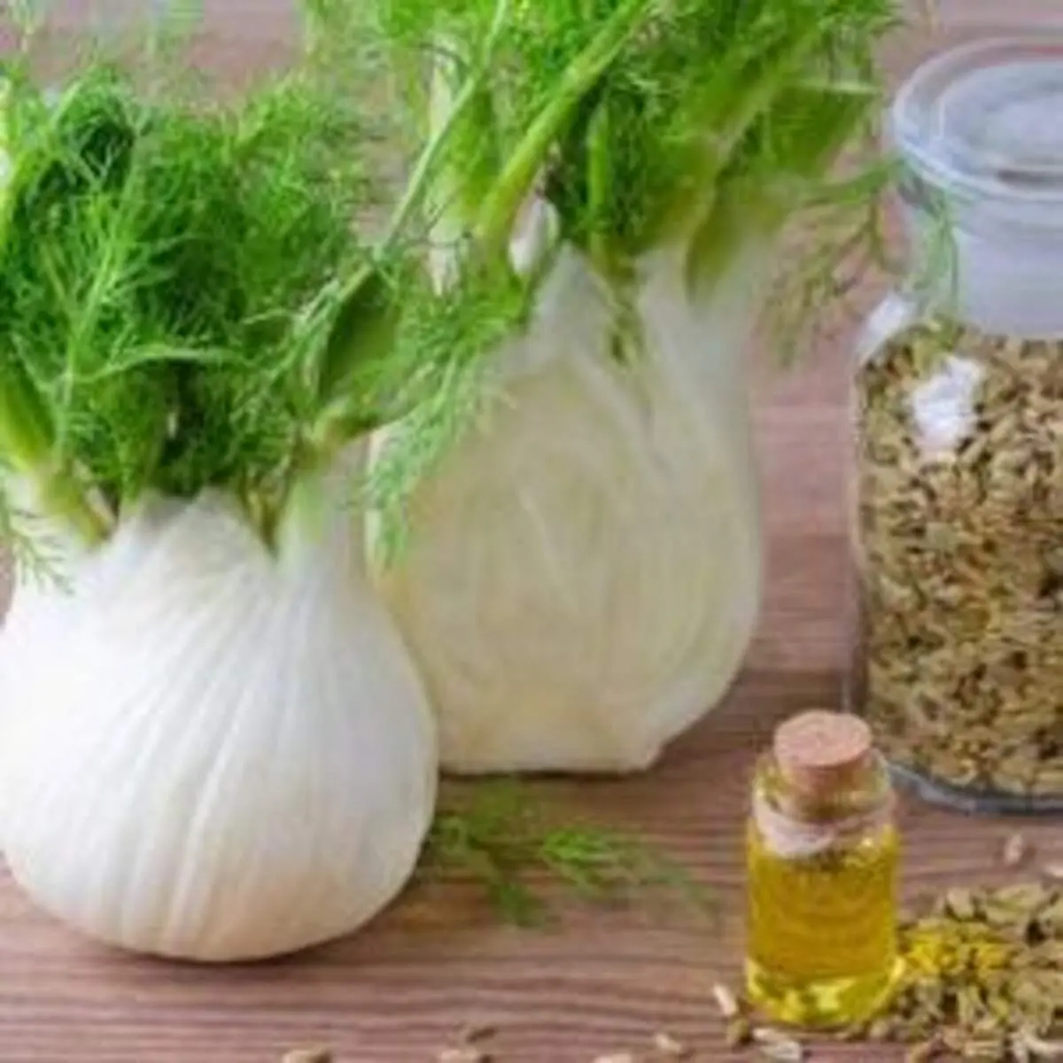 ۷ فایده شگفت انگیز روغن رازیانه برای بدن