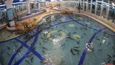 «اون» در یک رستوران عجیب +عکس
