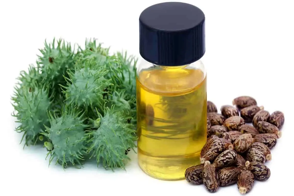 با ۵ فایده بی نظیر روغن کرچک برای پوست صورت آشنا شوید؟
