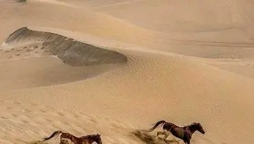 تصویری دیدنی از کویر یزد