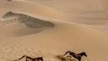 تصویری دیدنی از کویر یزد