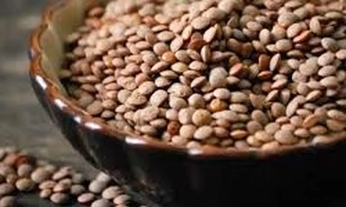 دفع خطر ابتلا به دیابت با مصرف «عدس»