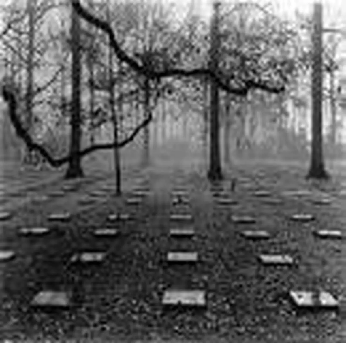 آیا اموات هم دلتنگ می‌شوند؟