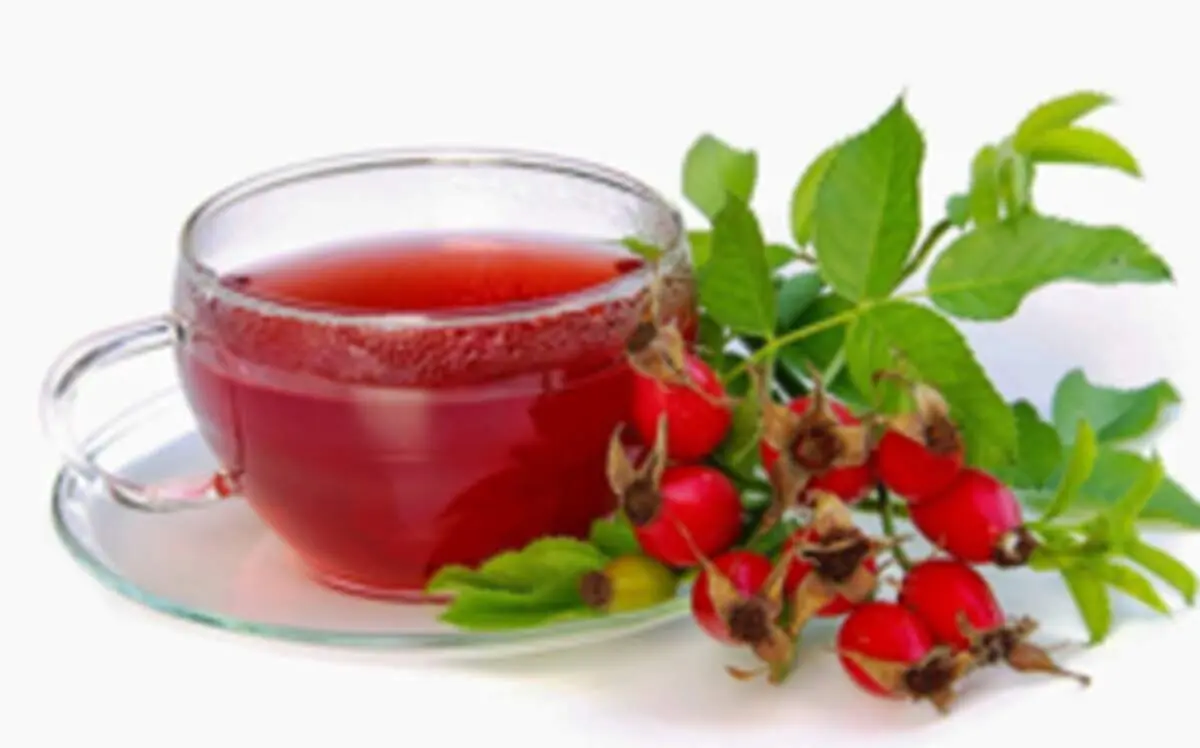 روش تهیه چای زرشک برای کاهش فشار خون