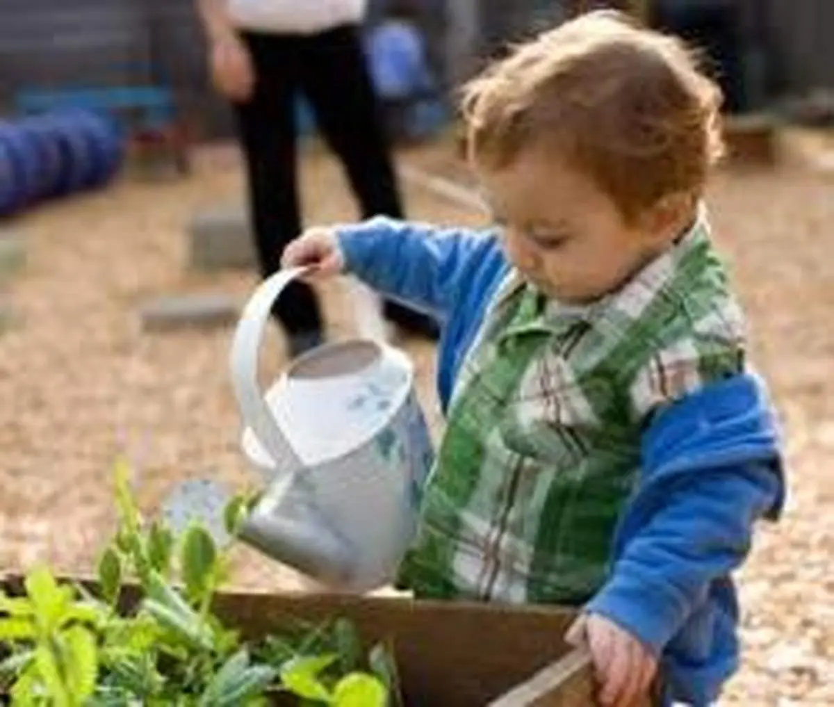 سبزیکاری سرگرمی جذاب و مفید برای کودکان