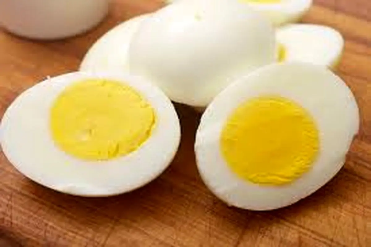 کدام قسمت تخم مرغ پروتئین بیشتری دارد؟