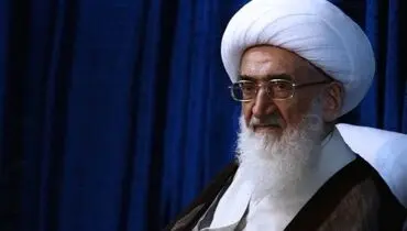 تکذیب دیدار واعظی با آیت الله نوری همدانی
