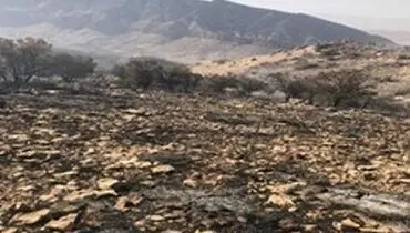 آتش سوزی در ارتفاعات جهرم مهار شد