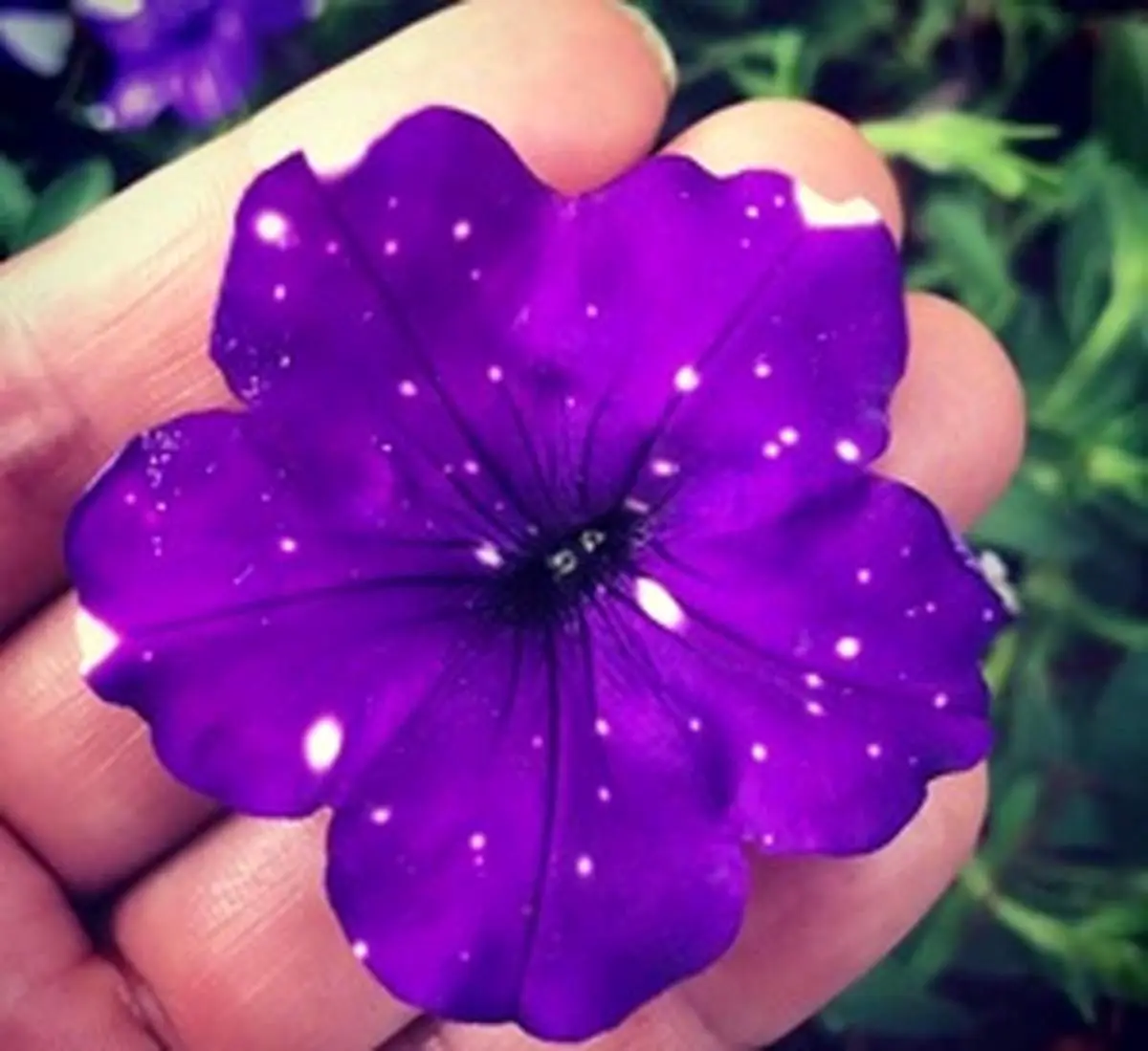 با این ۶ راهکار ساده حال بدنتان را خوب کنید