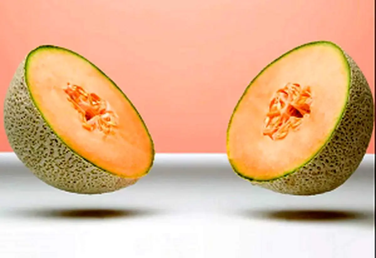 مهم ترین خواص طالبی