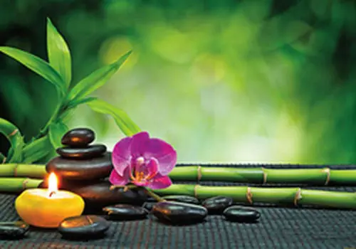 با این ترفند‌های فنگ شویی  استرس محیط را کاهش دهید
