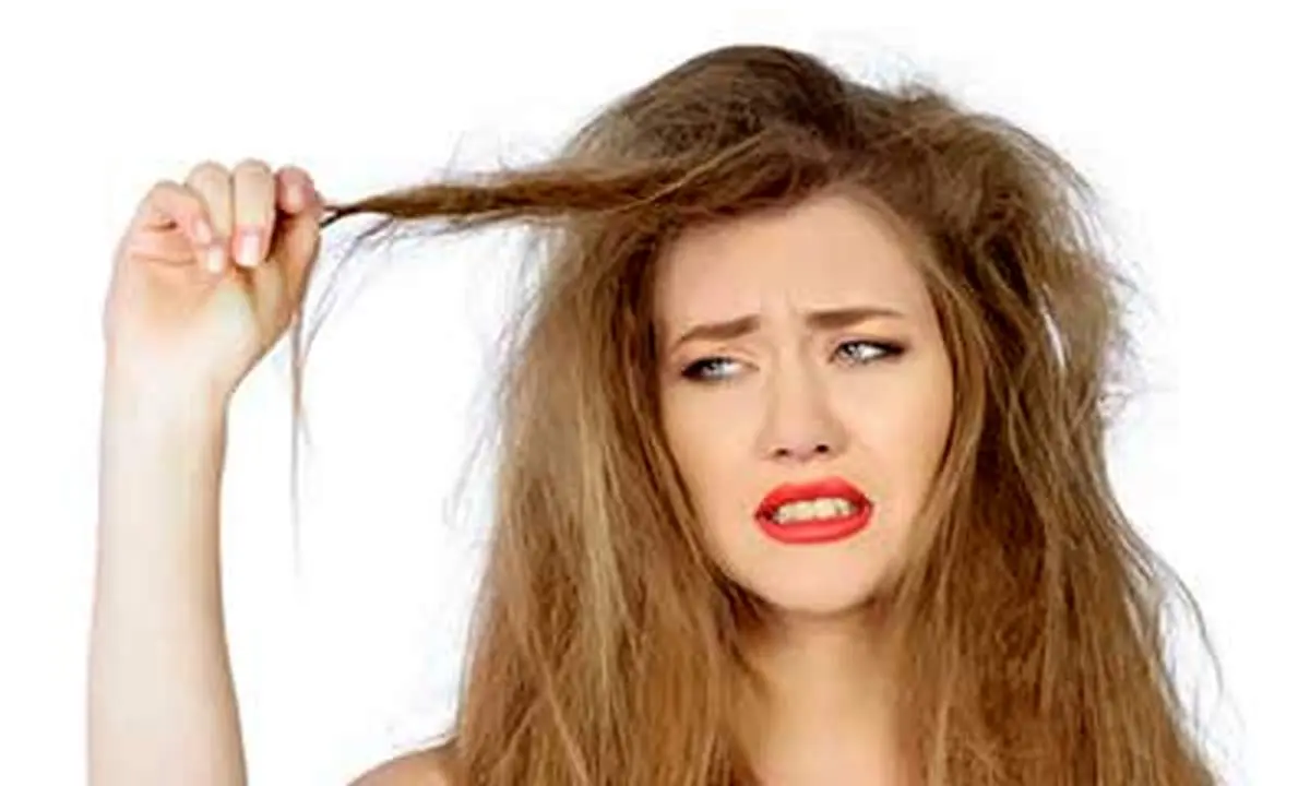 اصلیترین دلیل ایجاد موهای خشک و وز و راه پیشگیری از آن؟