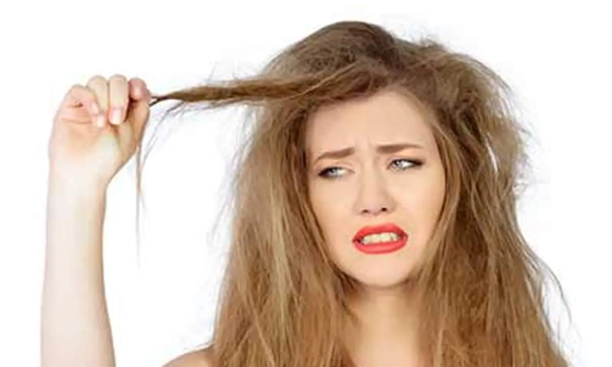 اصلی‌ترین دلیل ایجاد موهای خشک و وز و راه پیشگیری از آن؟