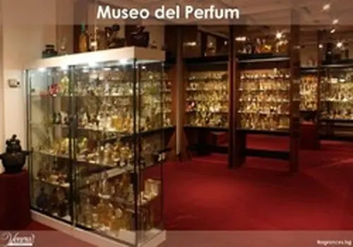 بسته خبری شبانگاهی پارسینه؛ از احضار کاردار فرانسه به وزارت خارجه ایران تا خداحافظی زودهنگام مهاجم استقلال 
