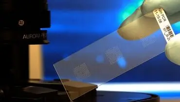 ساخت تراشه ژنی برای تشخیص میکروب‌های بیماری زا