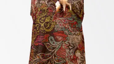 
راهنمای انتخاب تى شرت و تاپ زنانه