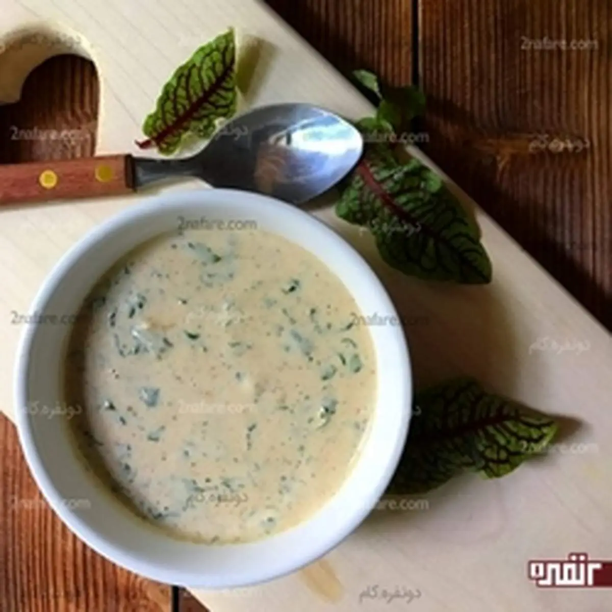 طرز تهیه ی سس خامه ای مخصوص غذا