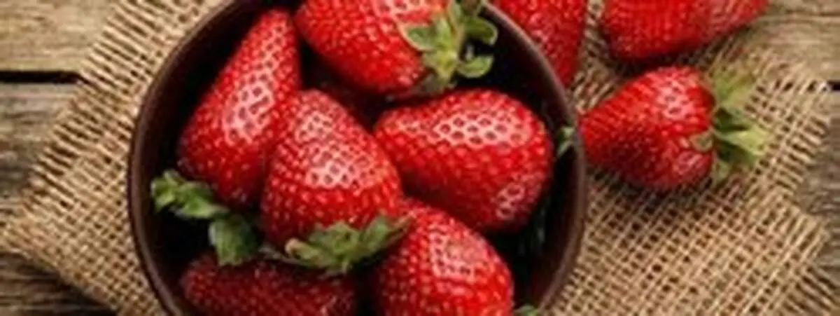 با فواید بی نظیر توت فرنگی آشنا شوید