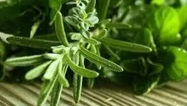 مهم ترین خواص رزماری