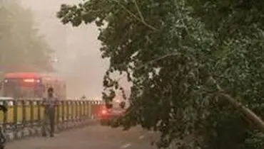مصدومیت ۸ نفر بر اثر حادثه طوفان