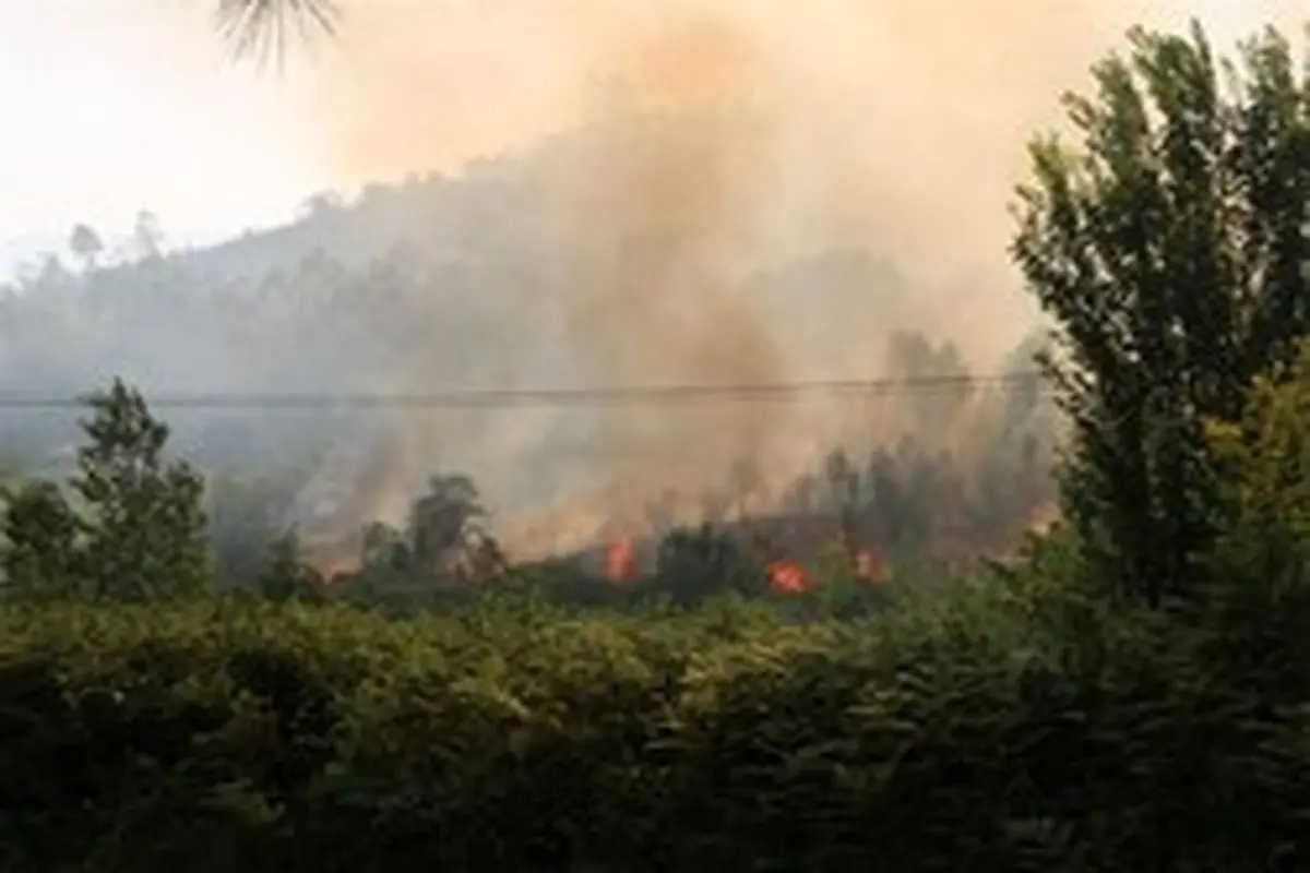 آتش‌سوزی در منطقه غرب گیلان مهار شد