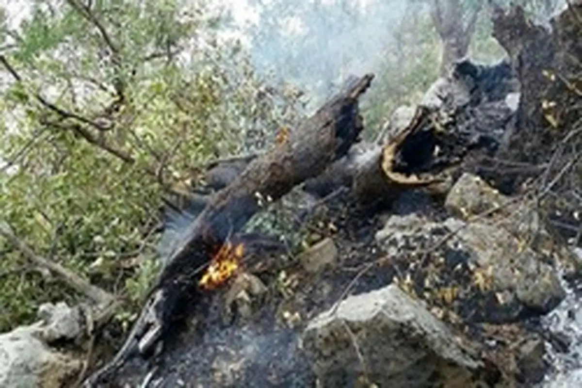 مهار آتش‌سوزی تنگ ترکان کازورن