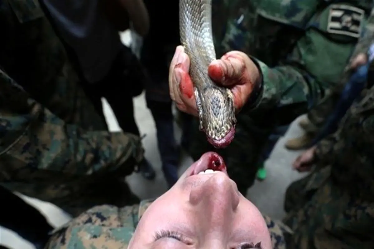 خوردن گوشت و خون مار در آموزش نظامی +عکس