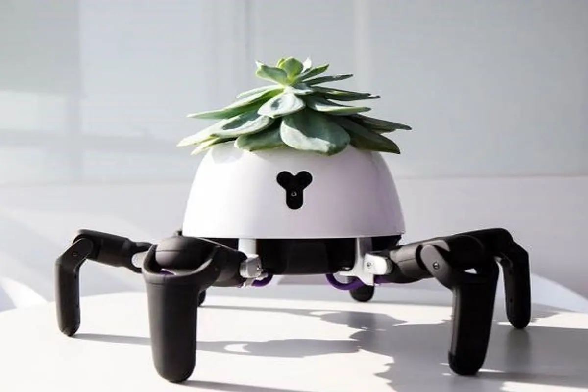 ساخت ربات برای نگهداری از گیاهان