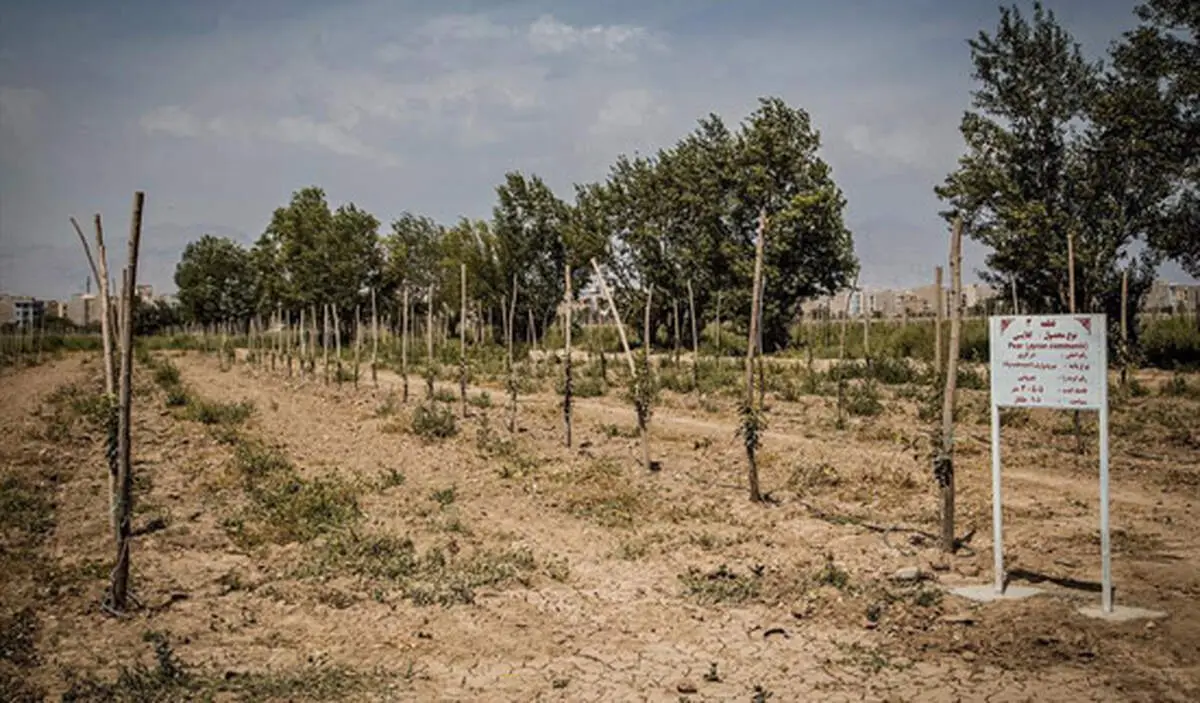اعلام آمادگی بنیاد مستضعفان برای تعامل با شهرداری تهران درخصوص باغات