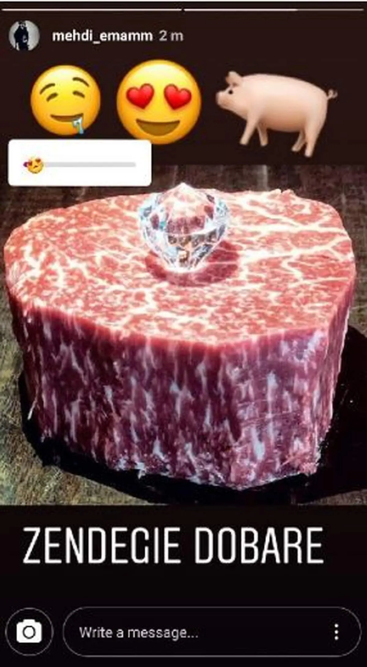 خوک‌خوری پسر مدیرعامل بنیاد خاتمی؟! +عکس