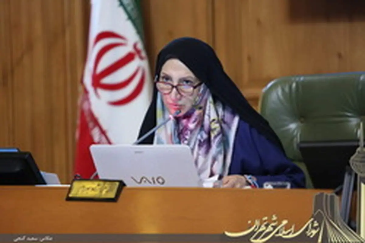 شورایاری ها فرصت یگانه ای برای بررسی مطالبات و تعاملات مردمی در مقیاس محلی اند