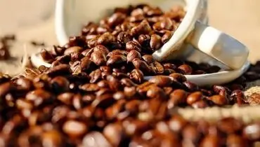 بوی قهوه می‌تواند باعث افزایش دقت در انسان شود.