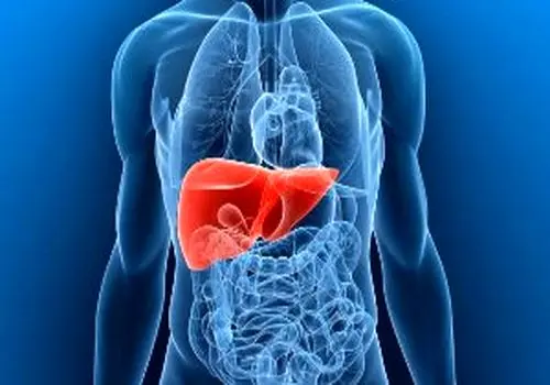 زنگ خطرهای پنهان علیه سلامت کبد

