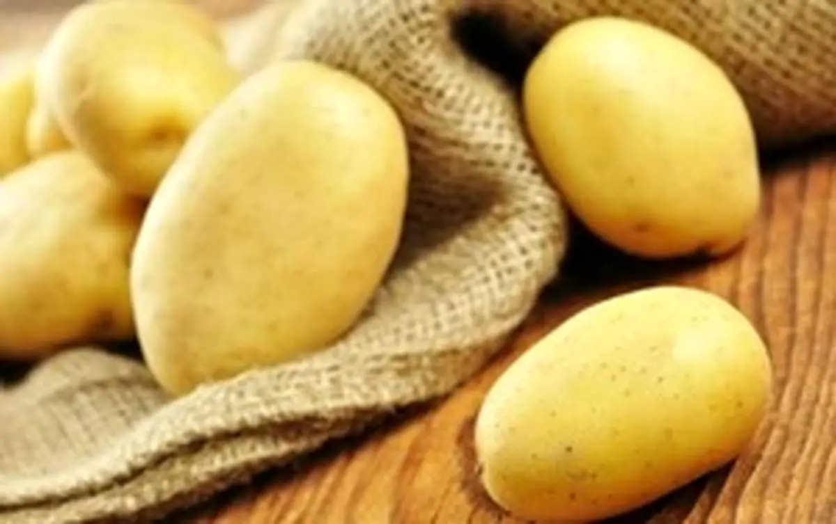 سیب زمینیهایی که باعث مرگ میشود!