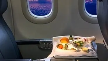 ۱۲ خوراکی که نباید در هواپیما بخورید