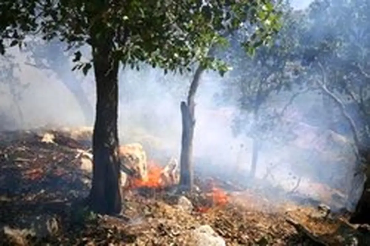 آتش به جان جنگل‌های پلدختر افتاد