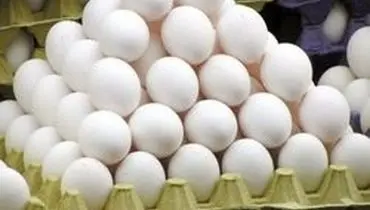 آیا شستن تخم مرغ کار درستی می باشد؟!