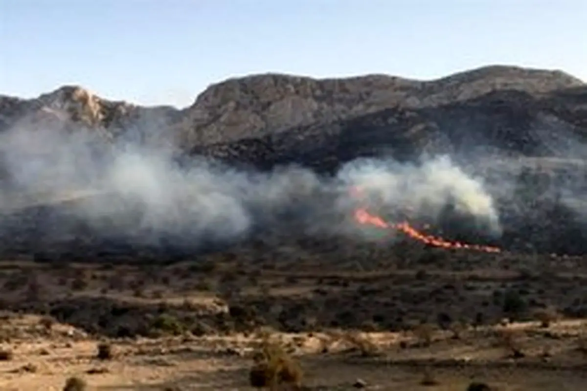 آتش‌سوزی در جنگل‌های دامنه نیلکوه مهار شد