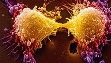 با فواید تستوسترون آشنا شوید