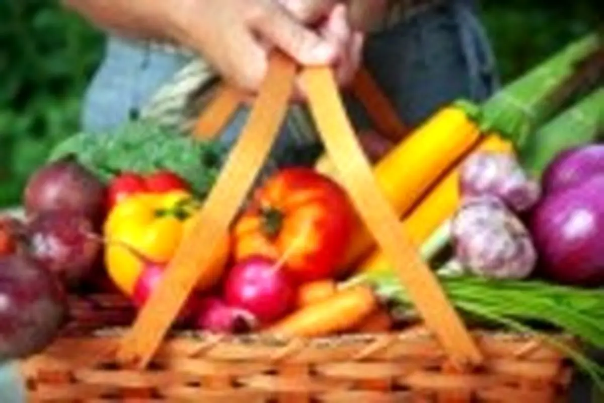 با ۸ فایده گیاهخوار شدن آشنا شوید