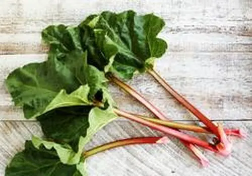 این سبزی، معجزه ای برای بهبود دستگاه گوارش است+ فیلم
