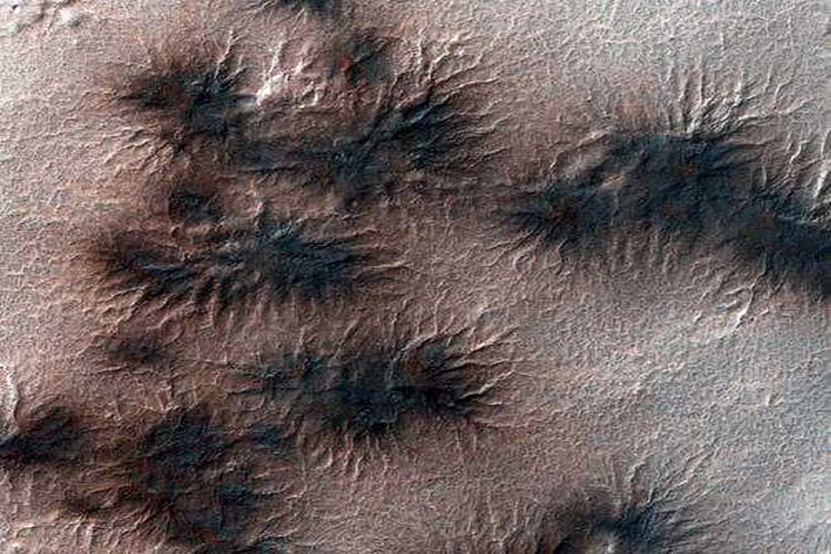 تصاویر ناسا از عنکبوت فضایی بر سطح مریخ + عکس