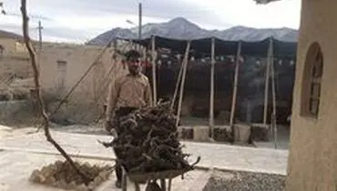 یوروهای ۱۸ هزار گردشگرخارجی در جیب یک روستایی