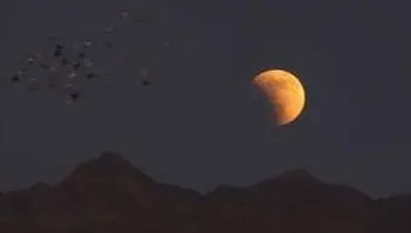 جزئیات ۳ پدیده نجومی در یک شب نجومی