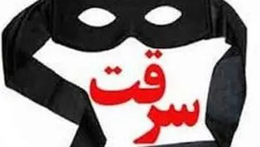 افزایش سرقت در کشور