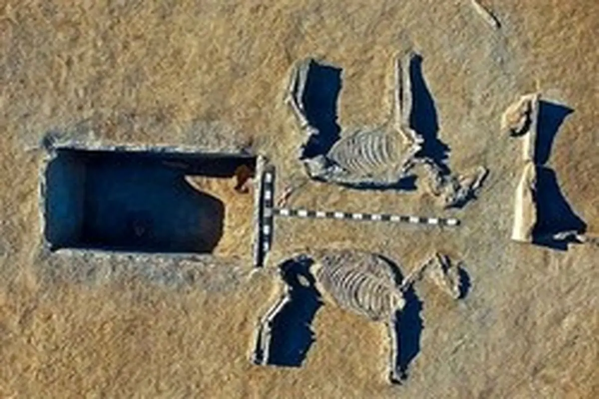 اسکلت ۵ هزار ساله یک زن و مرد کشف شد+تصاویر