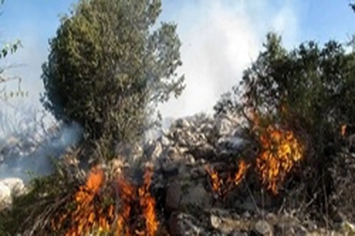 آتش سوزی در جنگل‎های دهلیج پلدختر