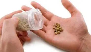 علل پیدایش سنگ مثانه